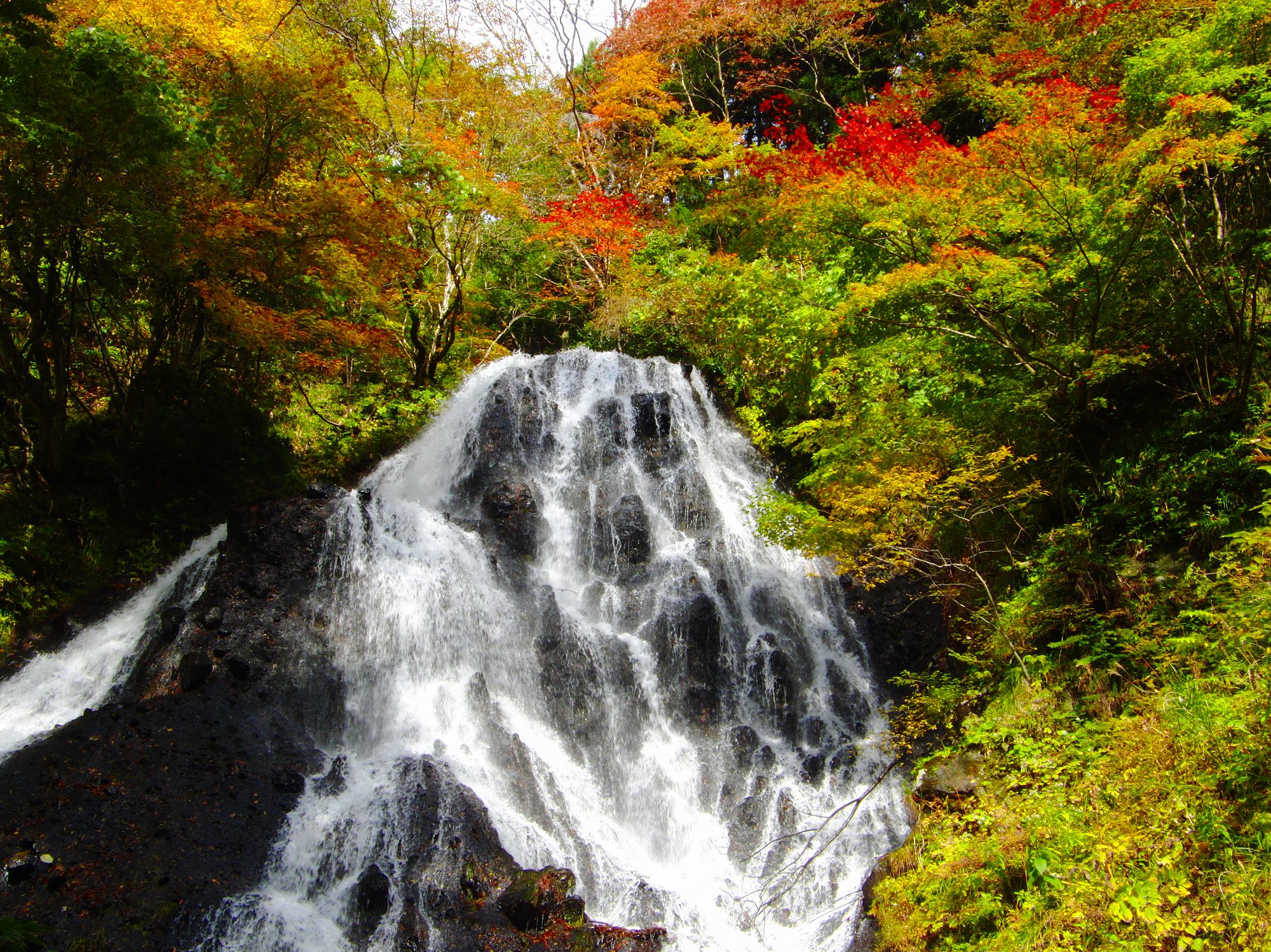 Fudo waterfall | Sakata Tourism｜Sakata City, Yamagata Prefecture